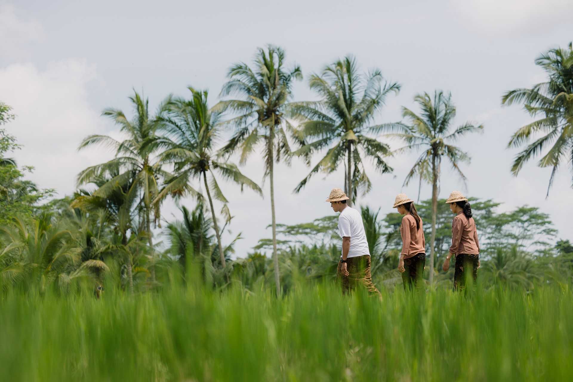 MVU_Subak & Village Tour.jpg_compressed.JPEG